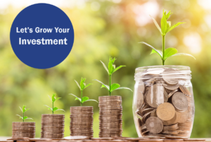 image for growing your investment with Niger Investor