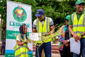 image for Lagos Tree Planting Day