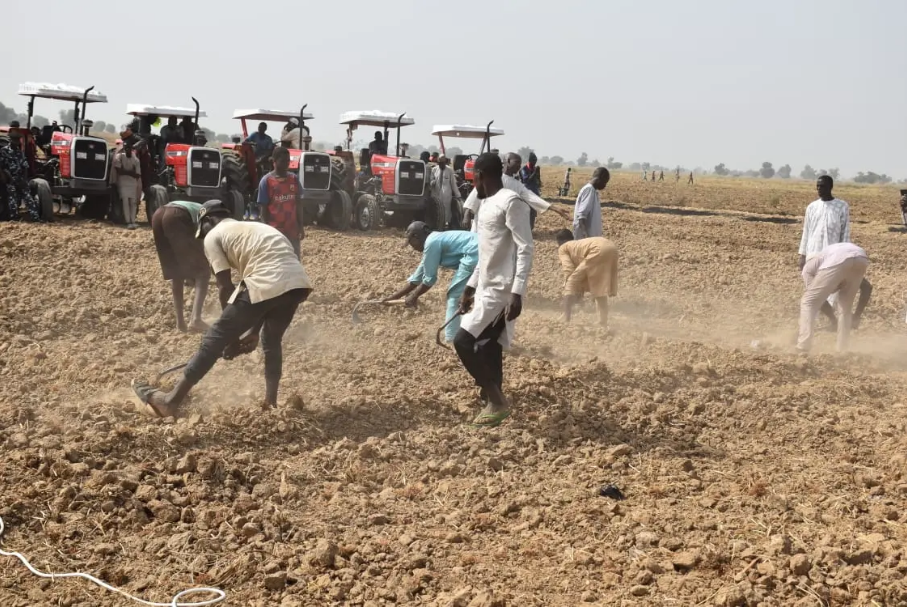 Dry Season Farming in Nigeria: Profitability; Challenges - Niger Investor