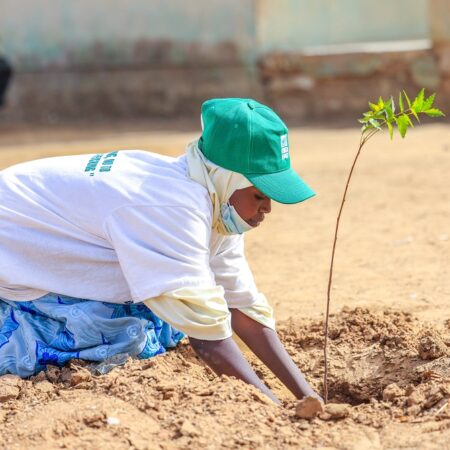 image for Tree Planting Campaign in Nigeria